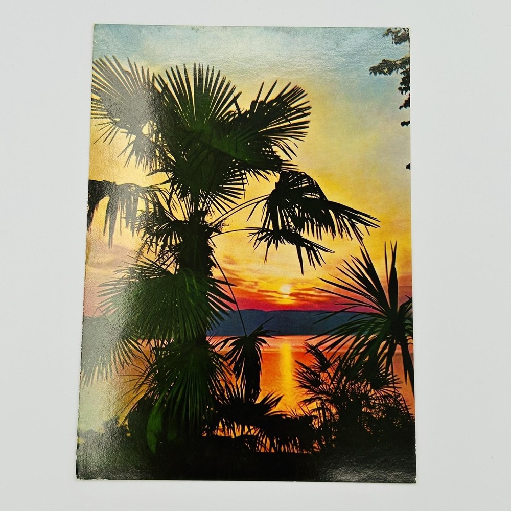 SwitzerlandI nsel Mainau Postcard Color Sunset Tropischer Zauber Standard